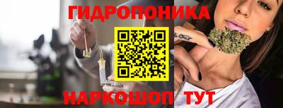 СК Краснодар