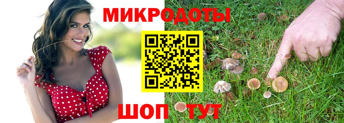 как найти закладки  Псилоцибиновые грибы GOLDEN TEACHER  Когалым  Вход с VPN  Галлюциногенные грибы MAGIC MUSHROOMS 