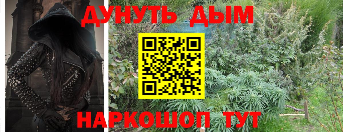 Бошки марихуана ГИДРОПОН Когалым